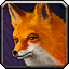 Aspect of the Fox