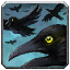 A Murder of Crows