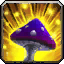 Sunseeker Mushroom