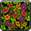 Flower Walk